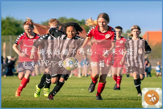 提升游戏性能不再愁，快来体验im电竞APP下载的优化秘籍！